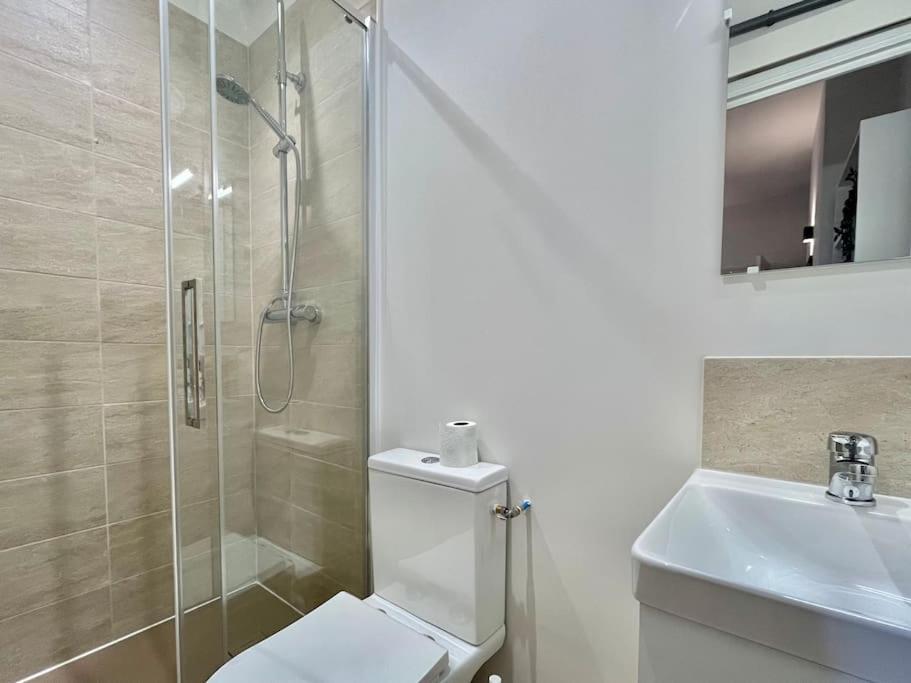 Le Printemps * Bel Appartement Climatise * Hypercentre Toulouse Exterior photo